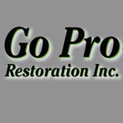 Go Pro Restoration